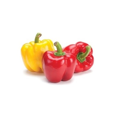 PEPERONI MISTI FRESCHI